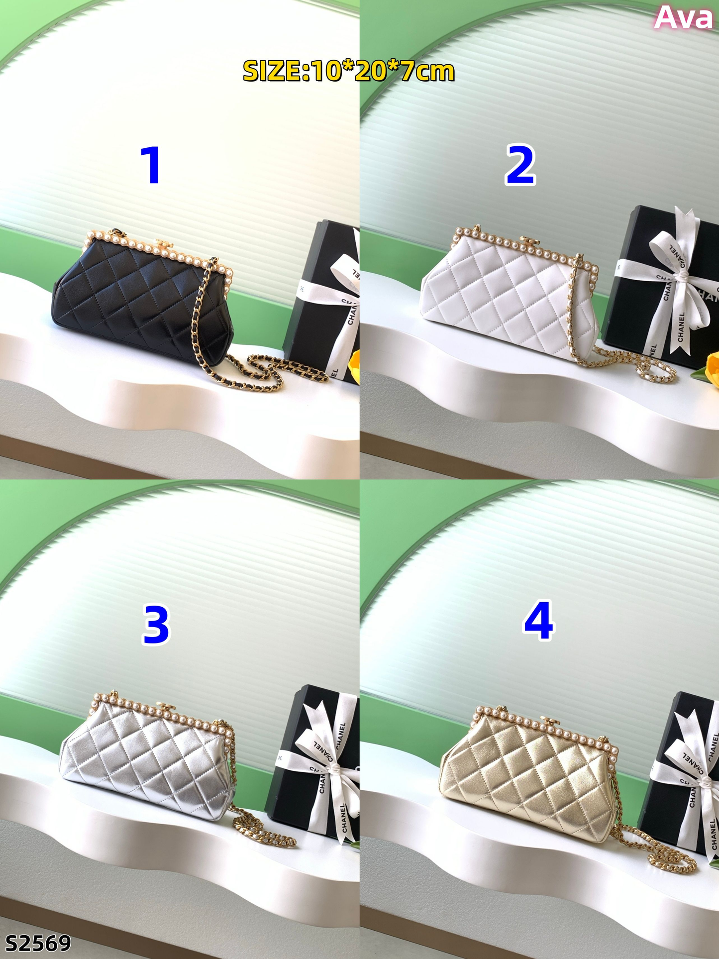S2569  bags