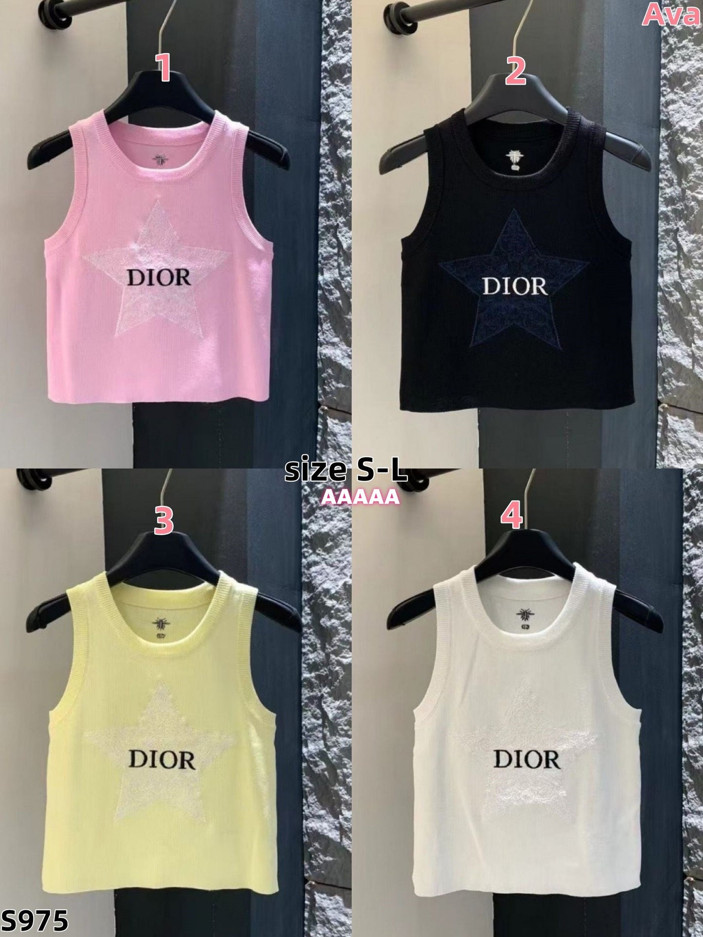 S975 Dior Vest