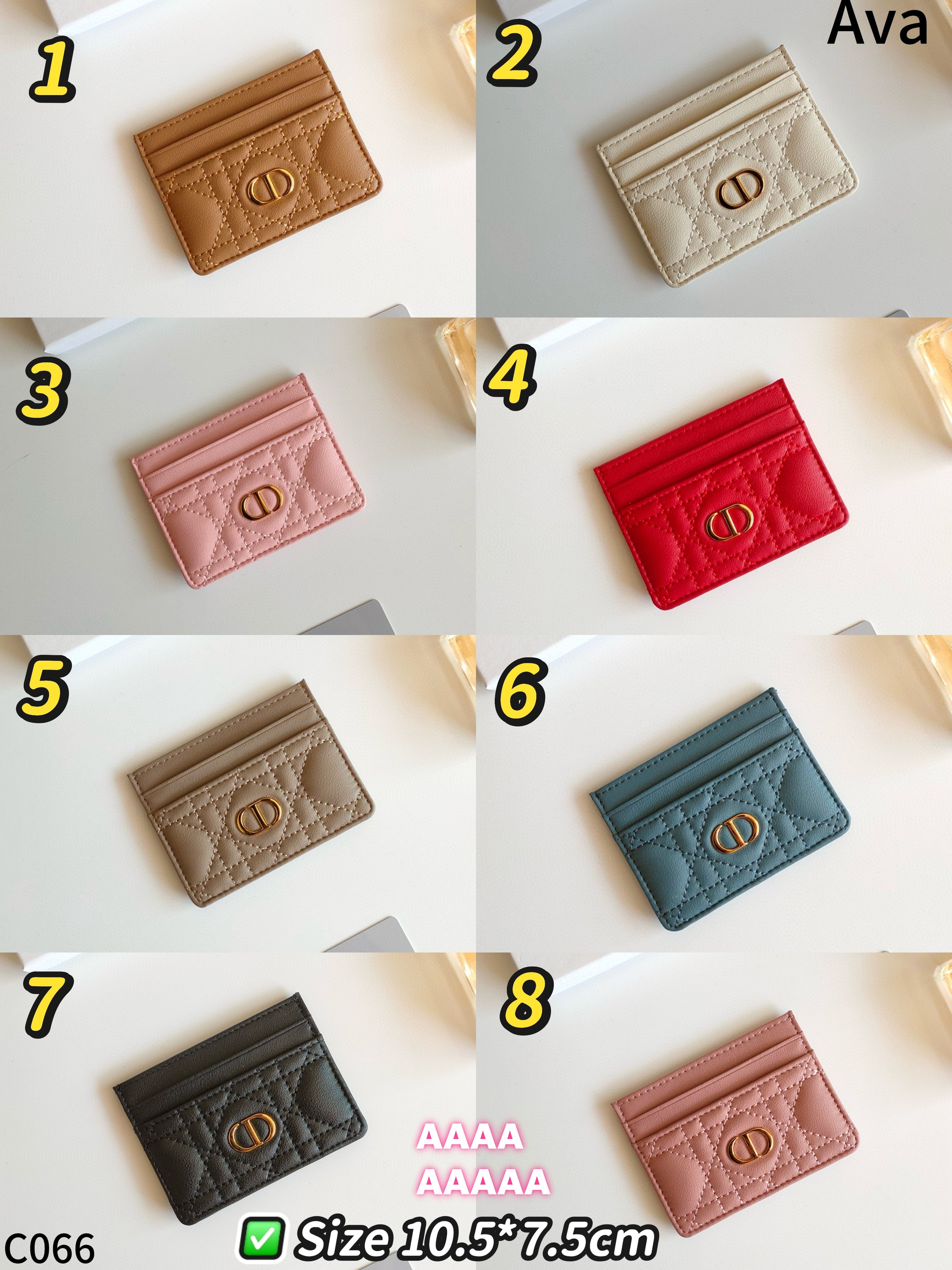 C066 Dior Card holder