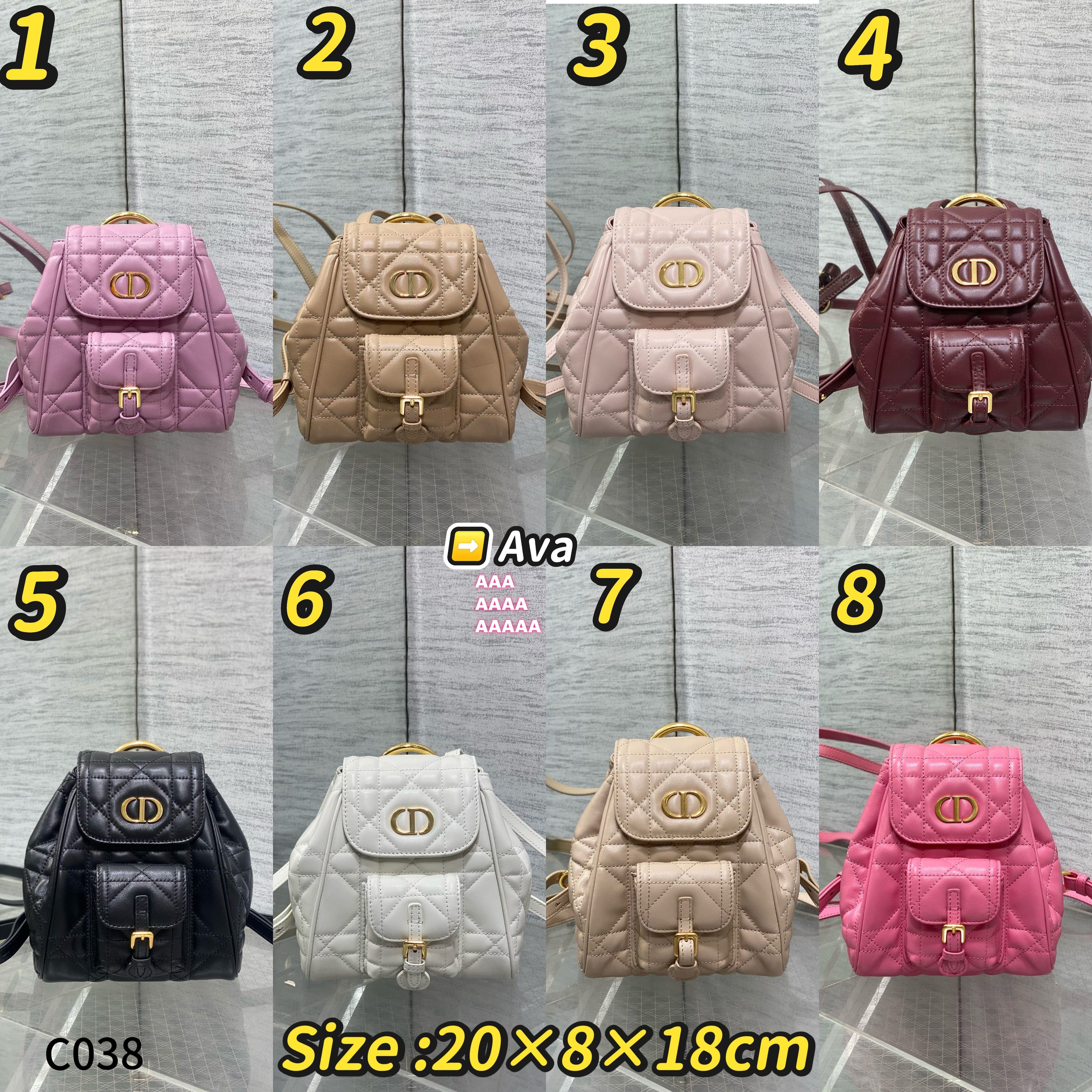 C038 Dior Caro Bag