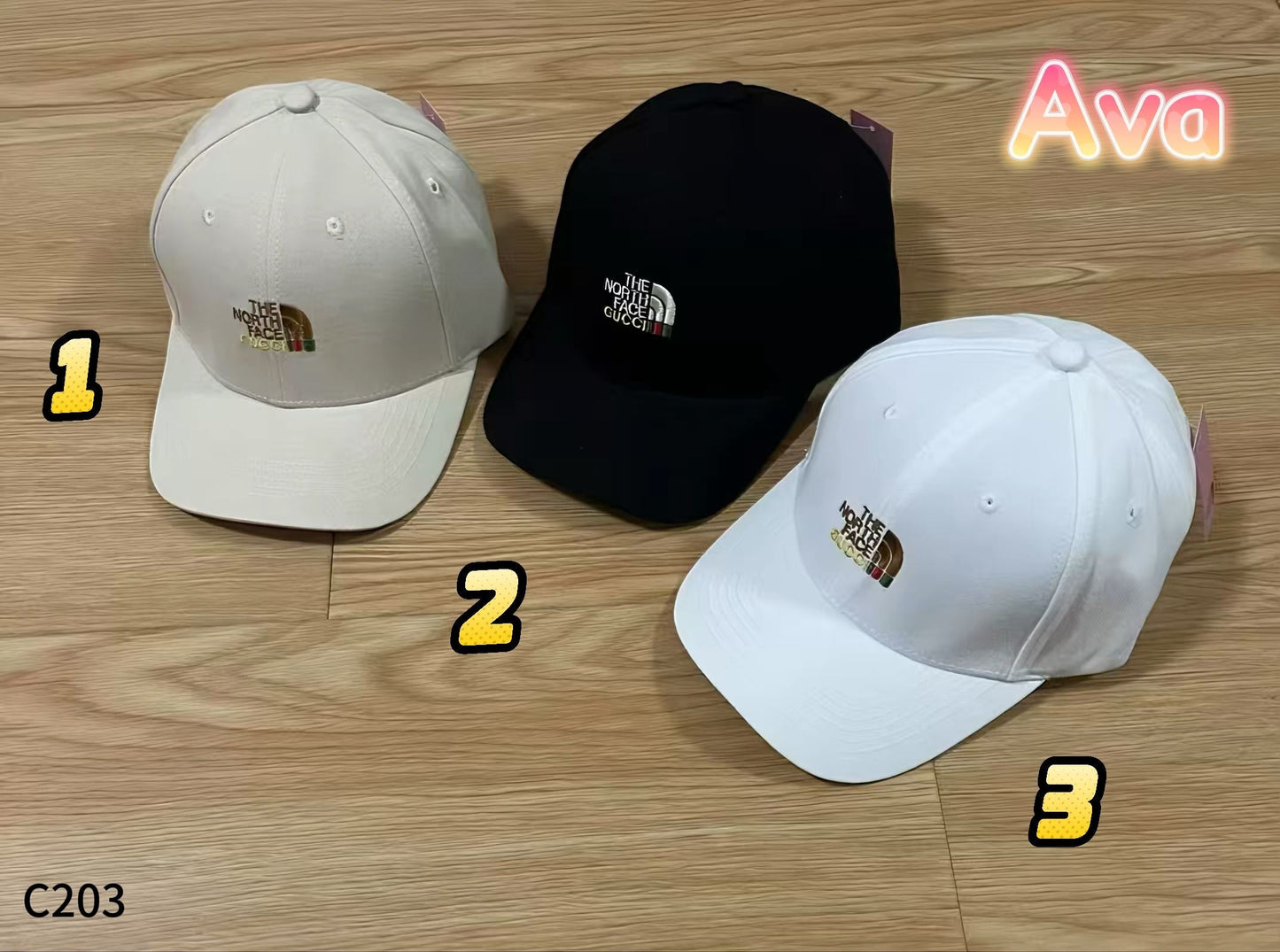 C203 The North Face baseball cap