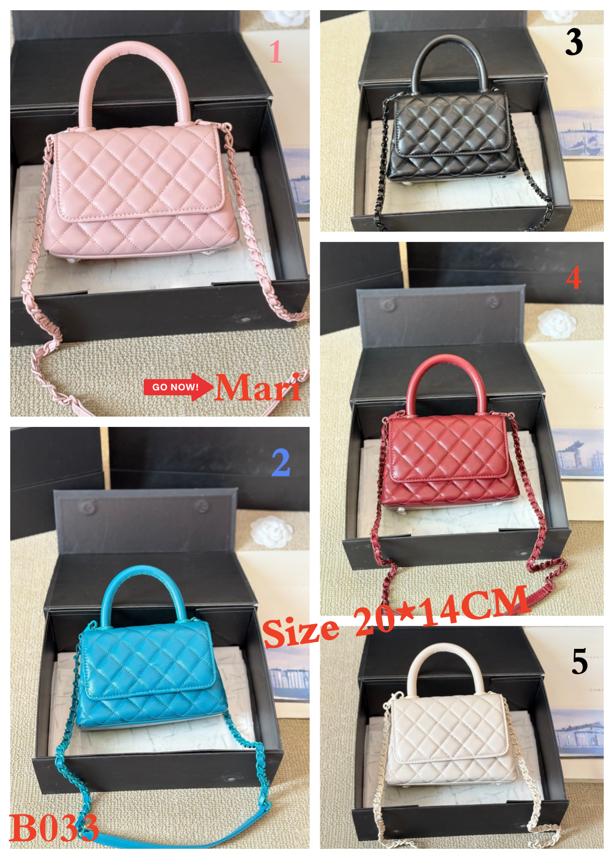 B033  Bag