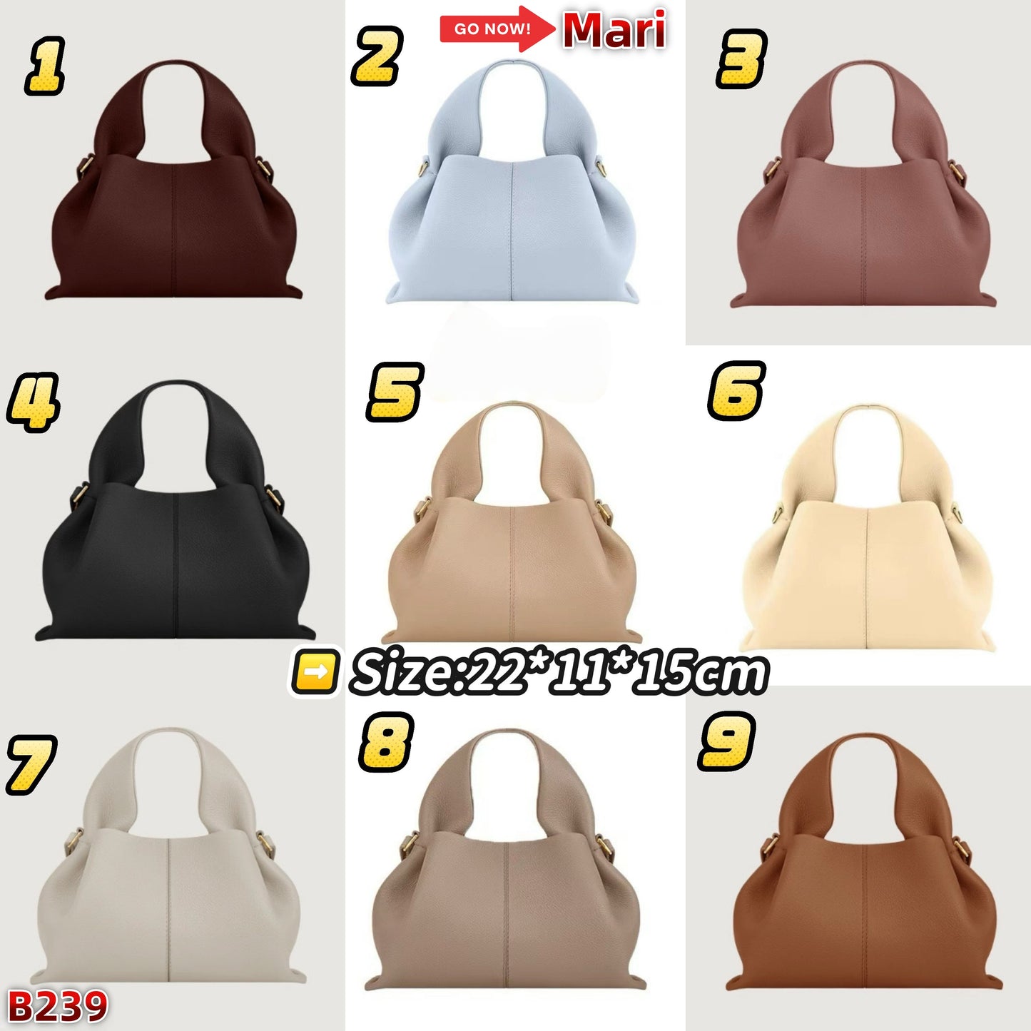 B239  Cloud Bag