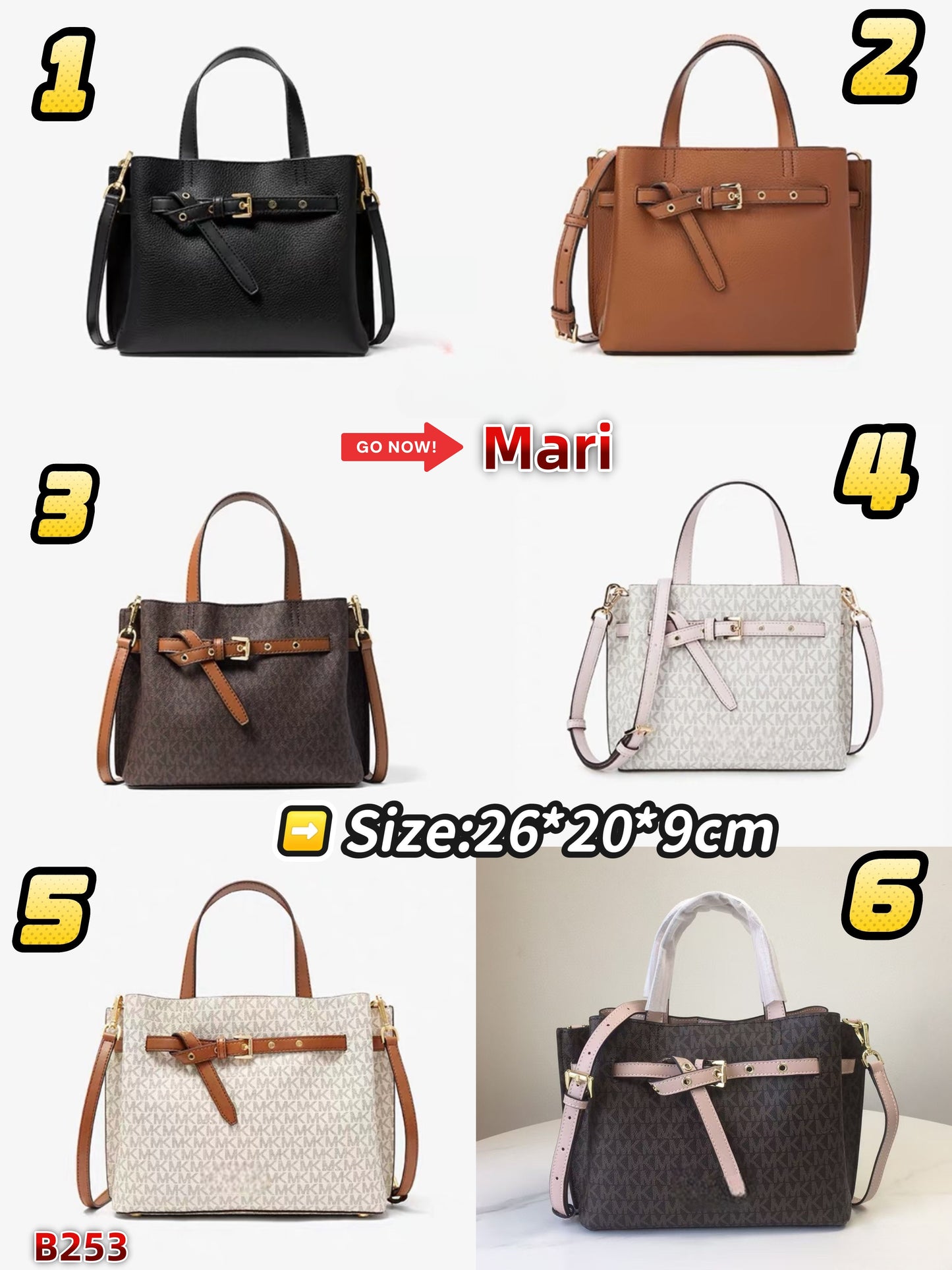 B253   Tote bag