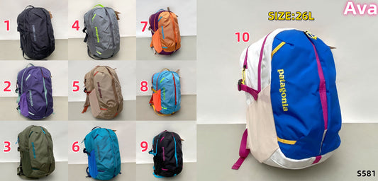 S581 Patagonia backpack