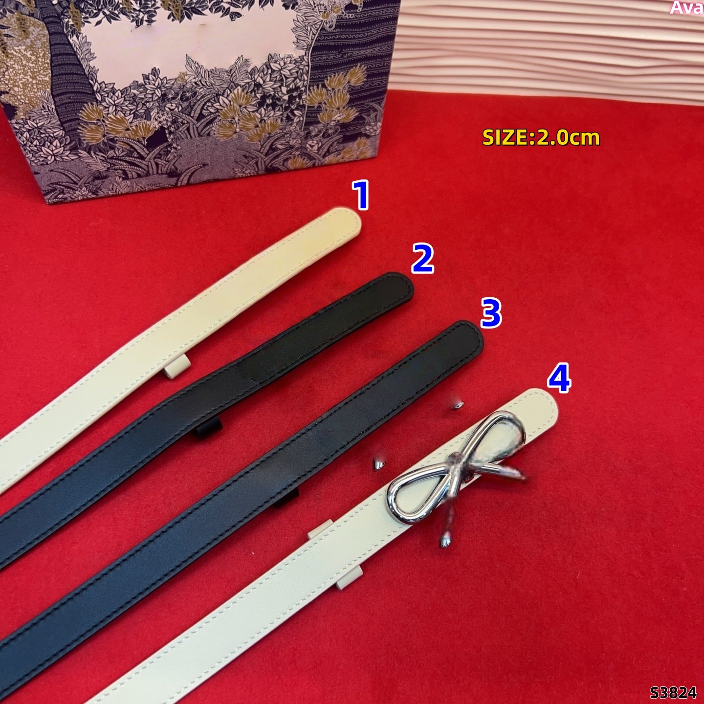 S3824 belt