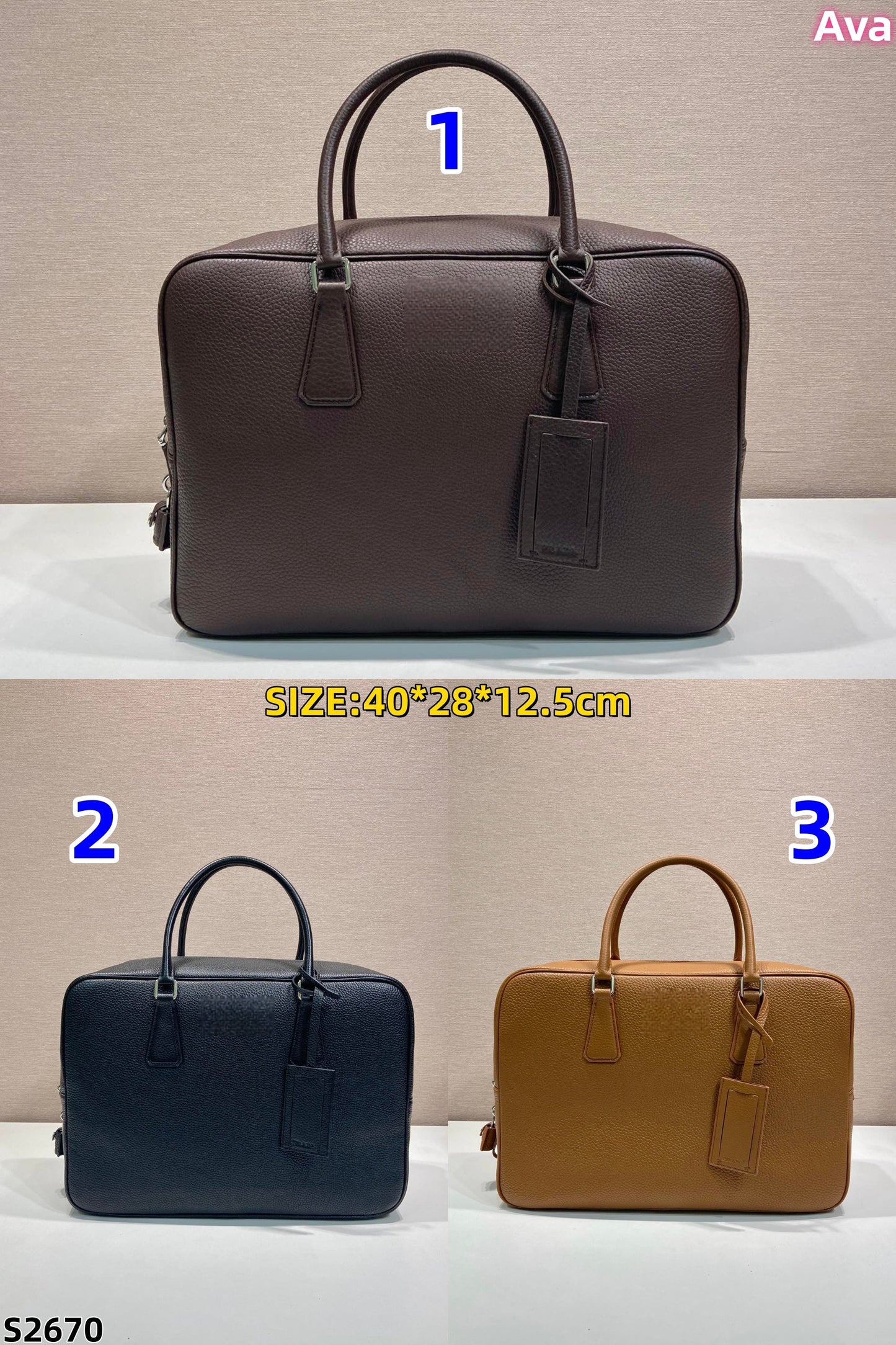 S2670 Pra briefcase