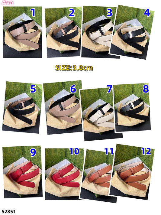 S2851 belt