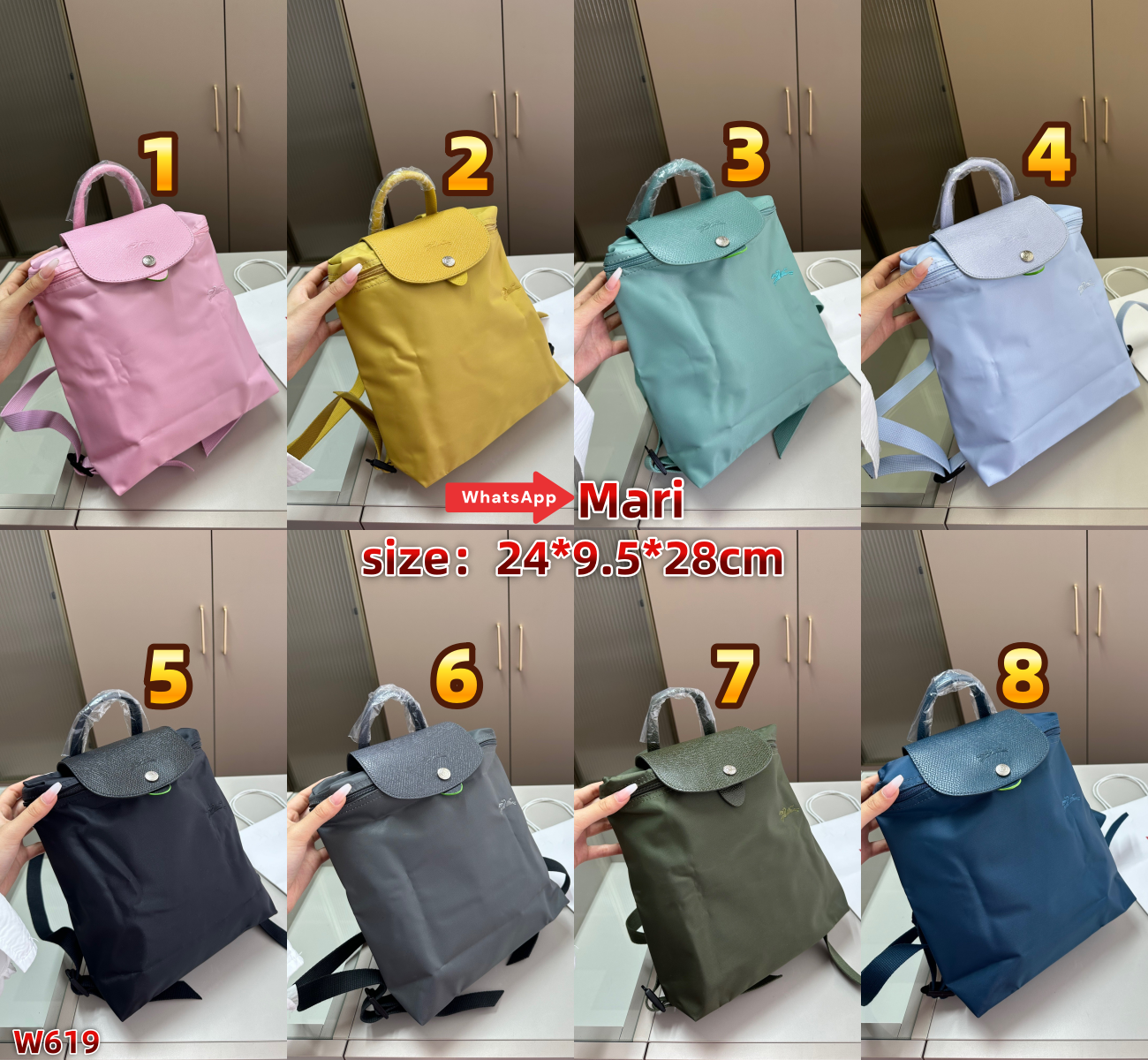 W619  backpack