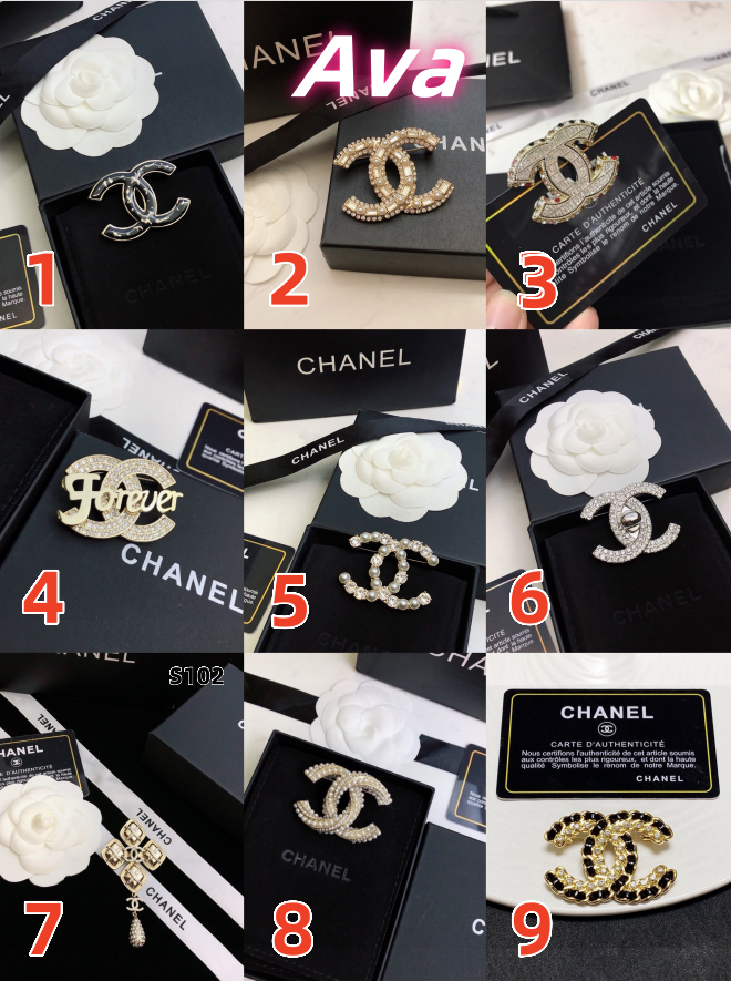 S102  New Brooch