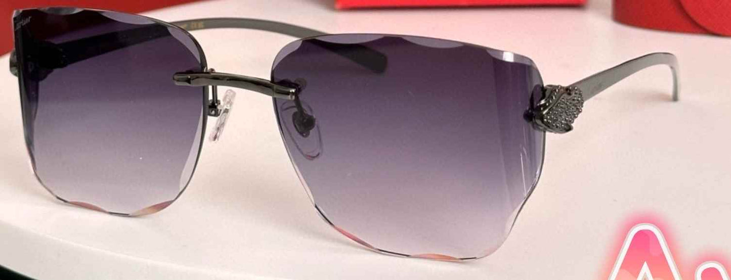 C173 Car glasses