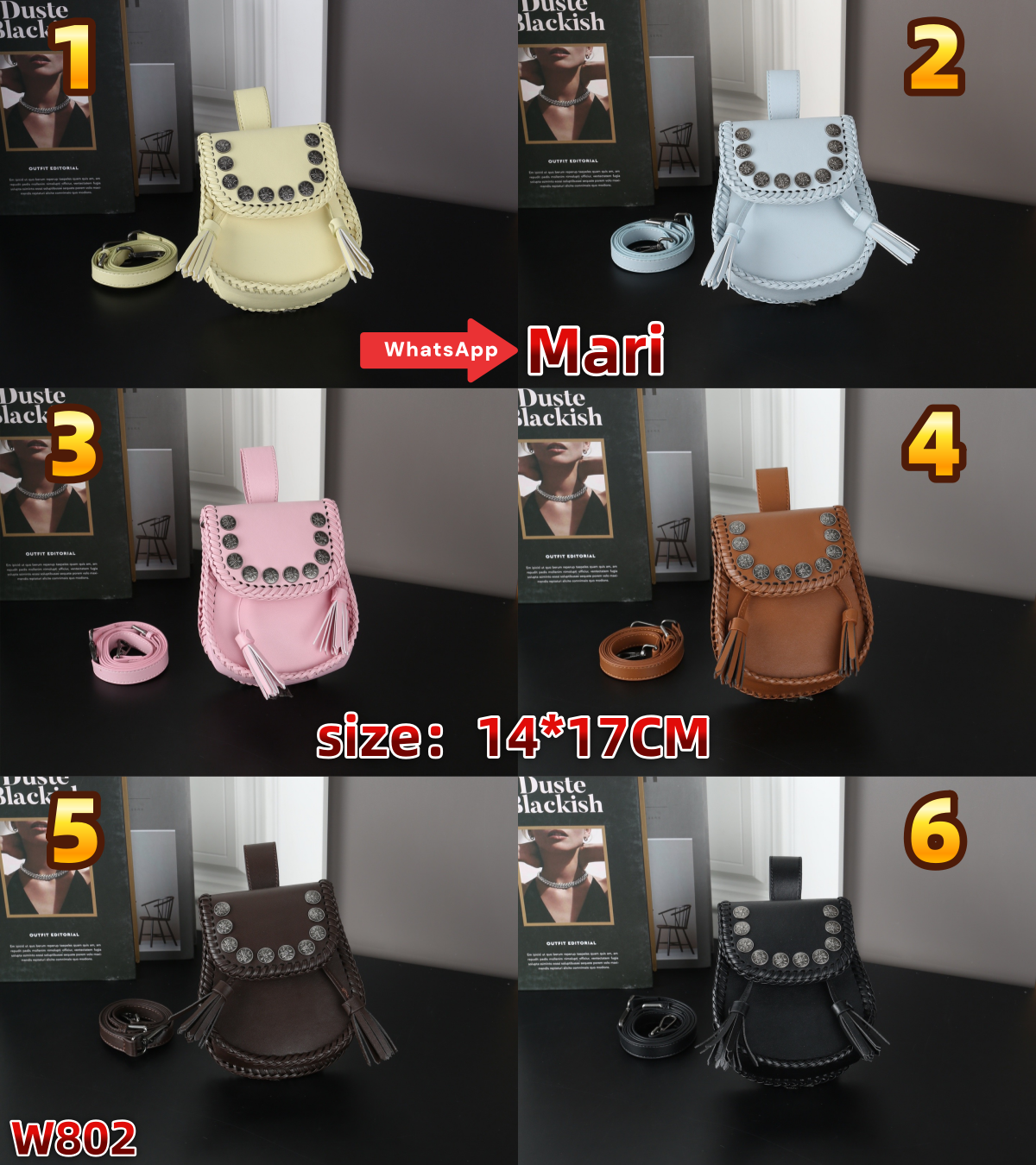 W802  Saddlebag