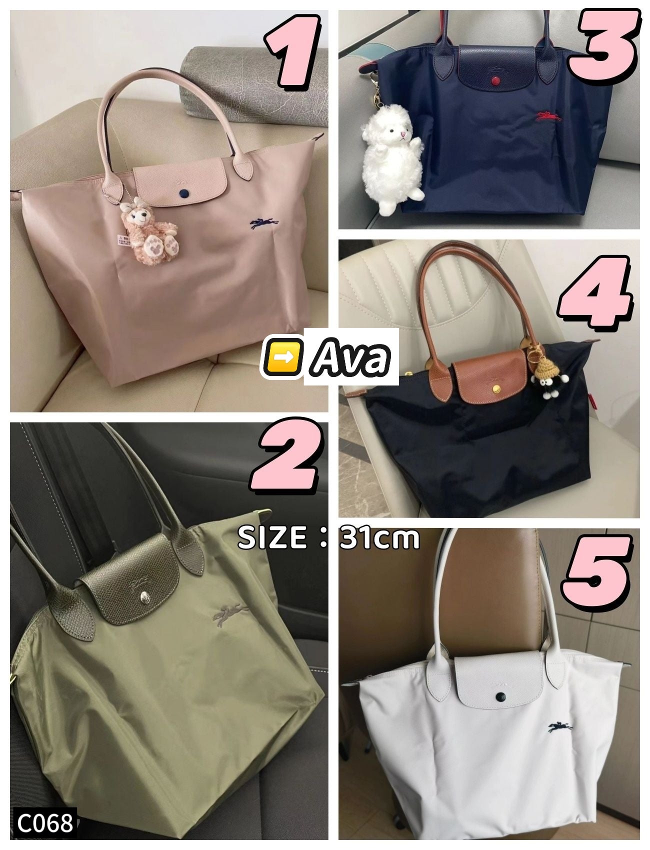 C068 Longchamp Bag