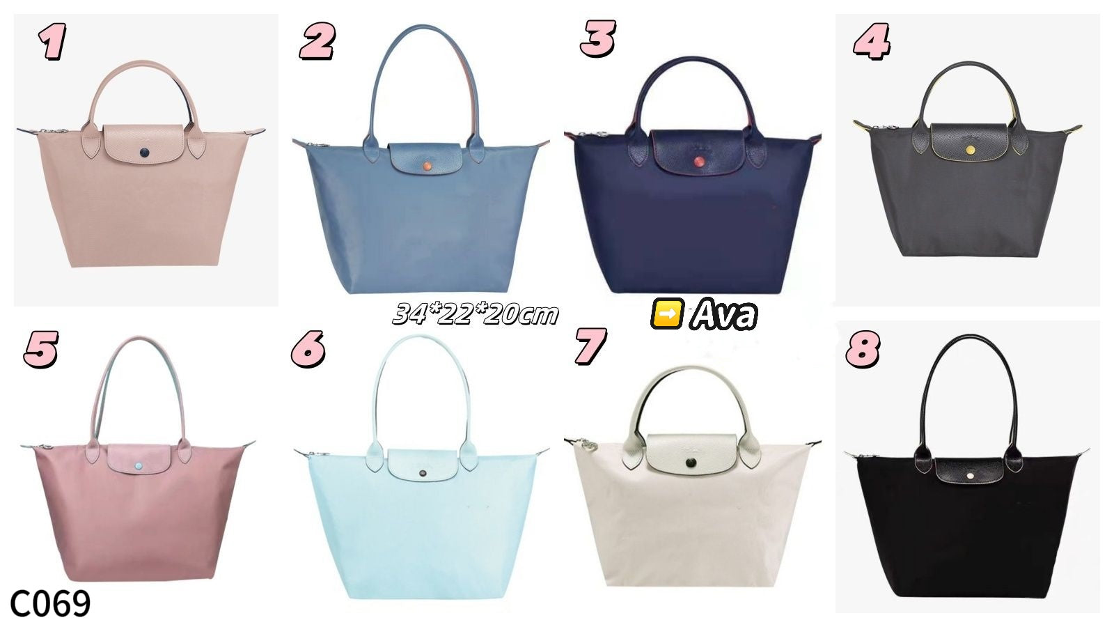 C069 Longchamp Bag