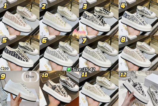 C299 embroidered shoes