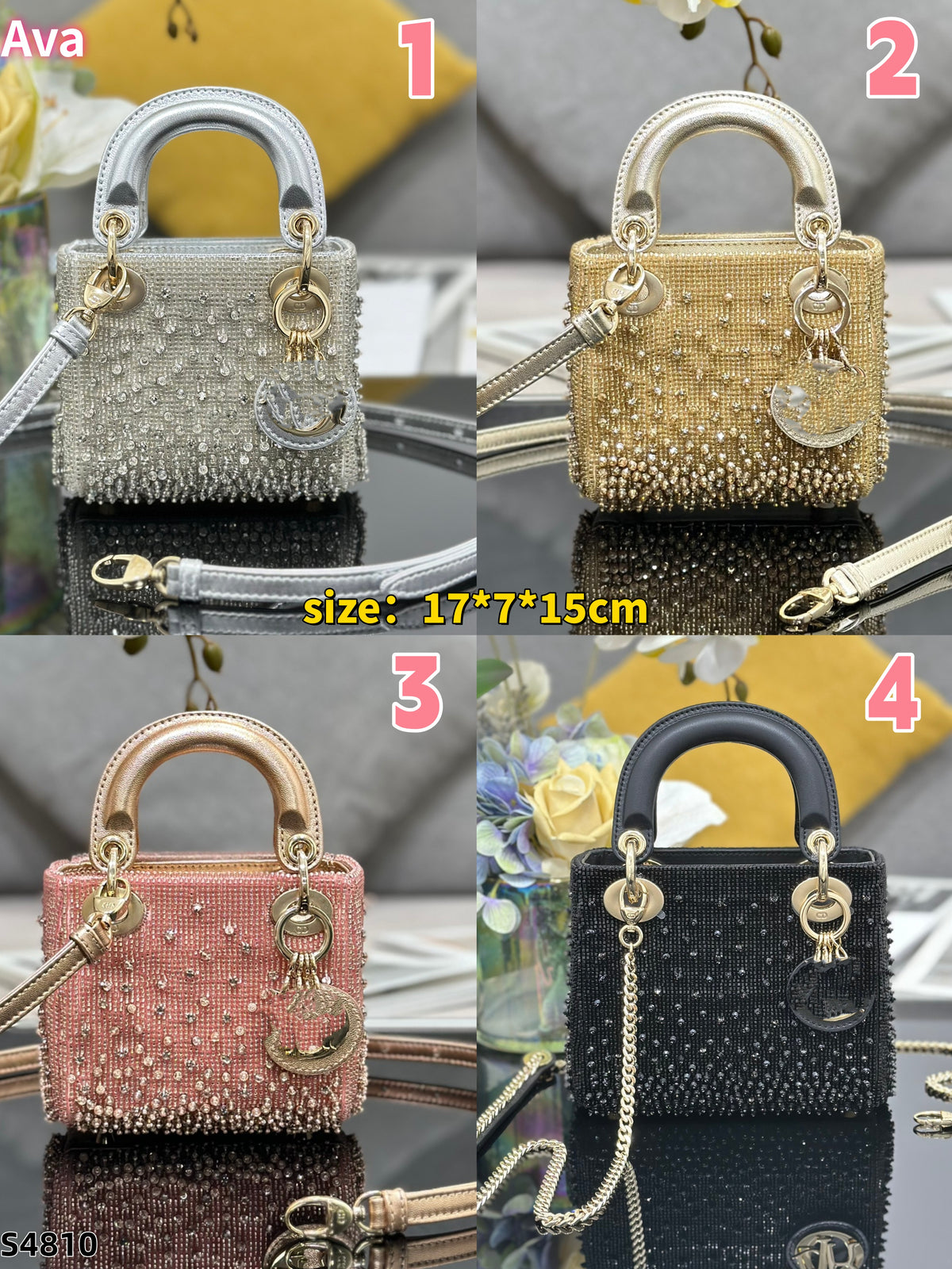 S4810 bag