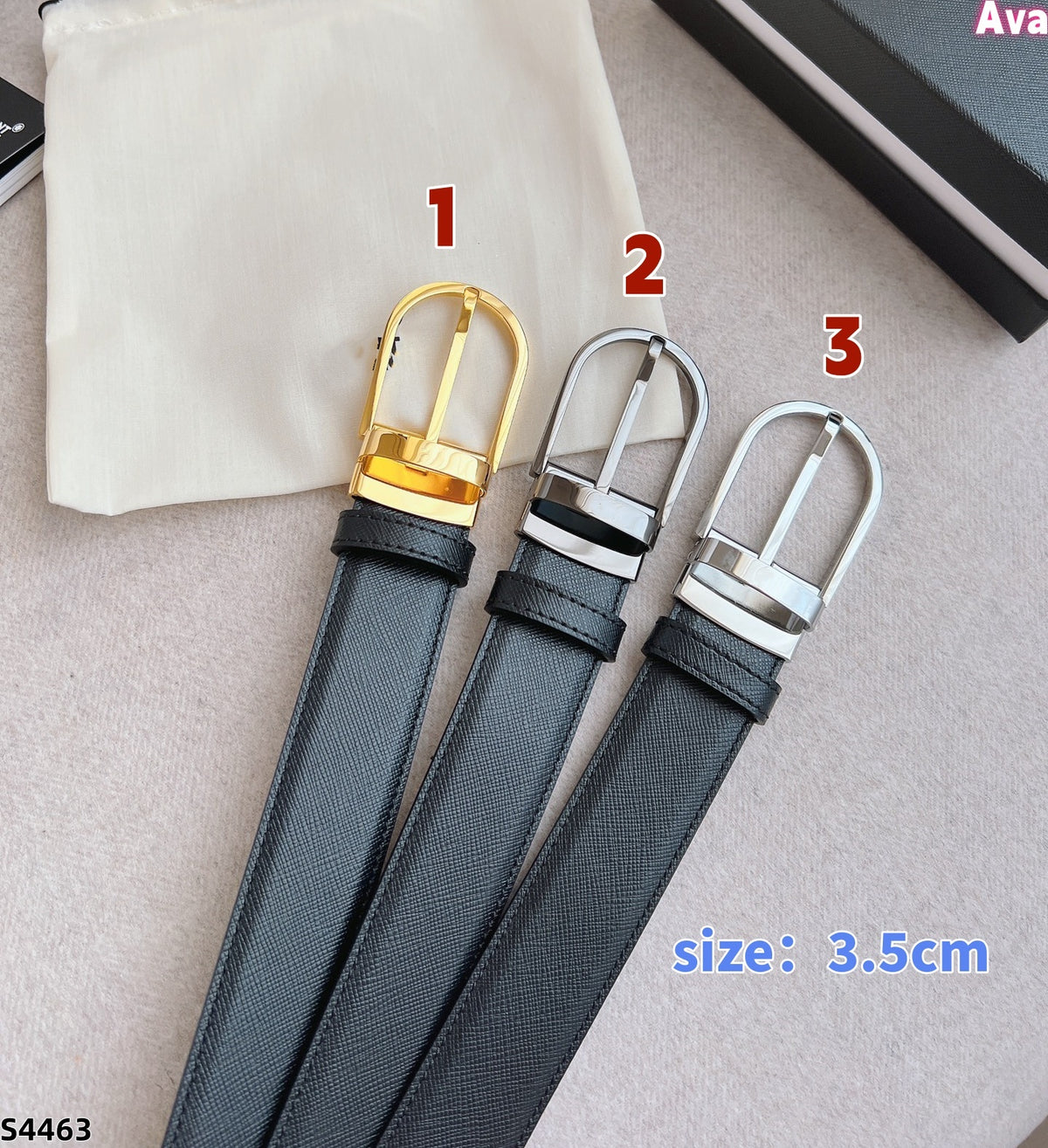 S4463 belt