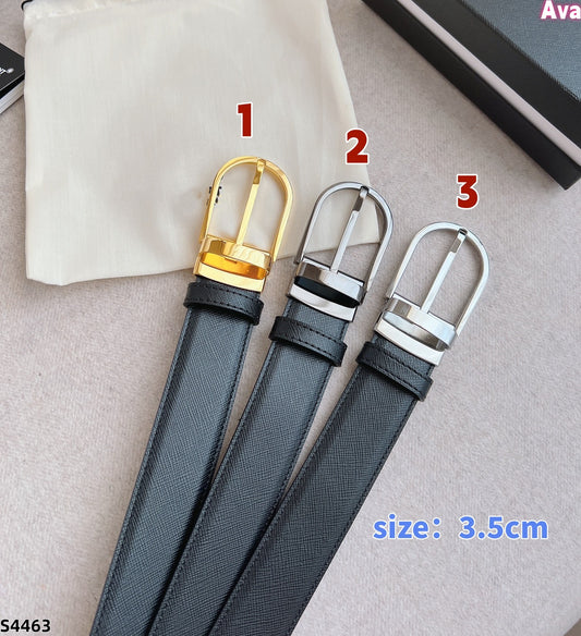 S4463 belt