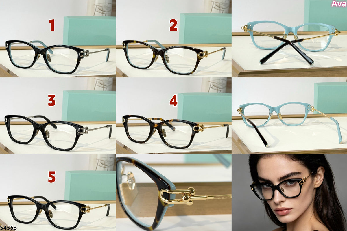 S4553 Glasses