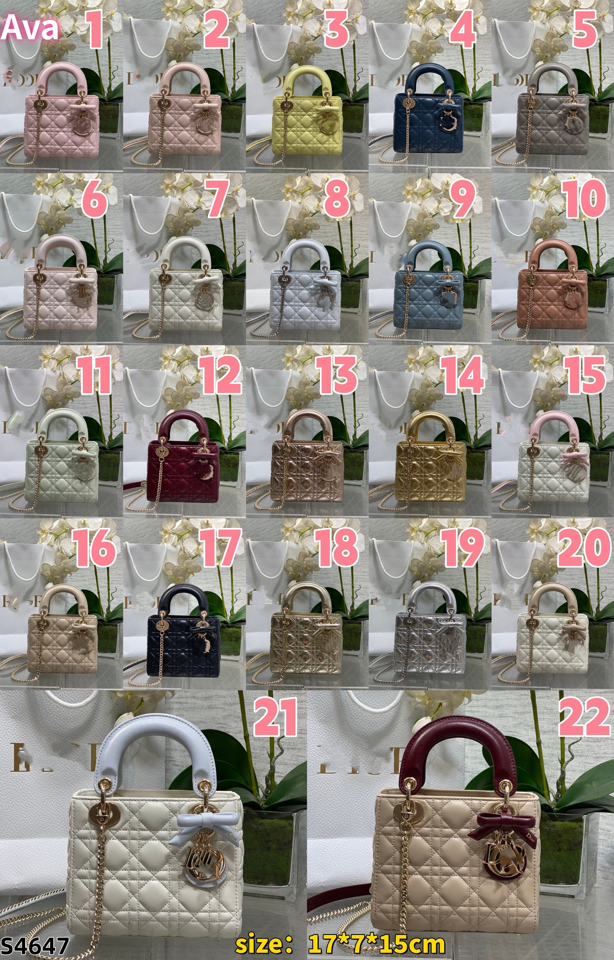 S4647 Bag