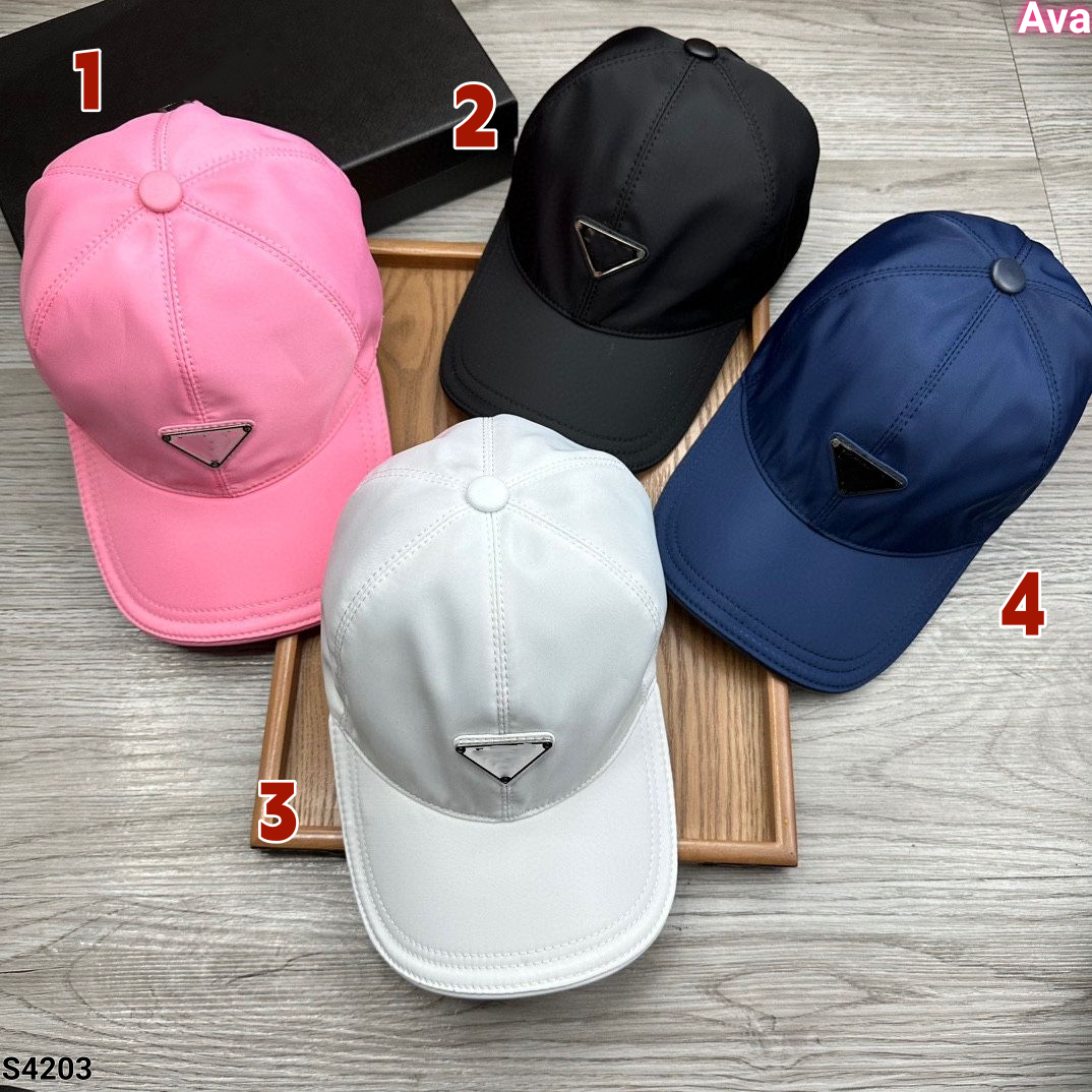 s4203 cap