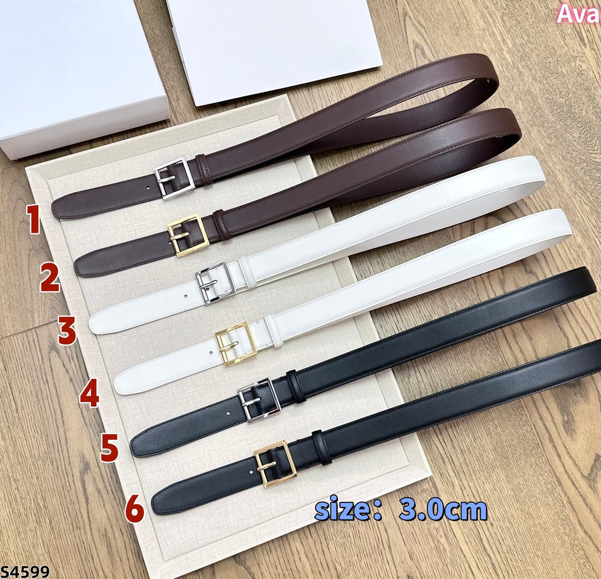 S4599 belt