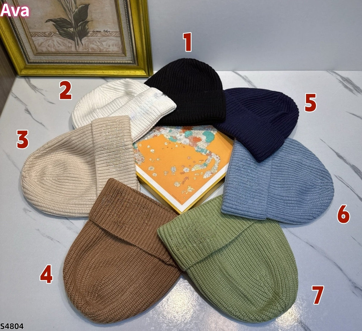 S4804 hat