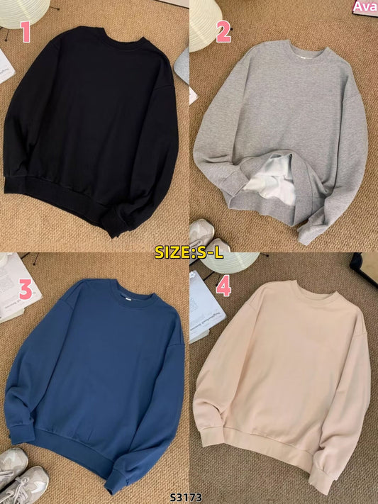 s3173 Hoodie